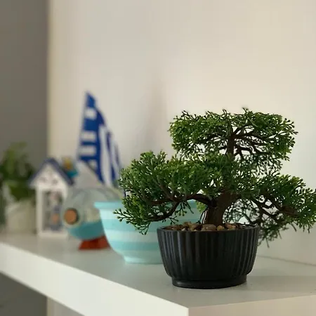 Lucas Lux Apartment